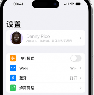 佛子山镇appleID维修服务iPhone设置中Apple ID显示为灰色无法使用 