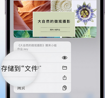 佛子山镇apple维修中心分享iPhone文件应用中存储和找到下载文件