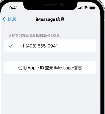 佛子山镇apple维修iPhone上无法正常发送iMessage信息 