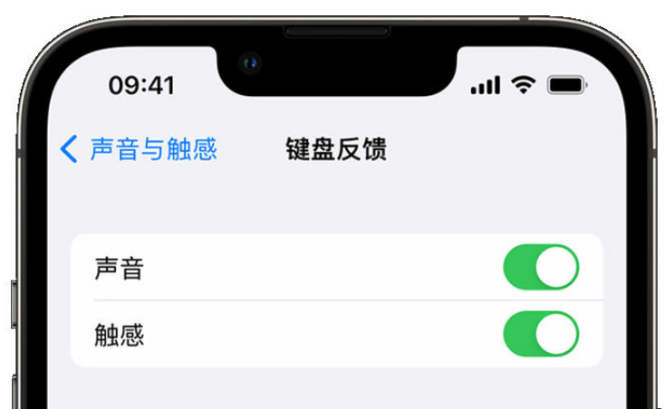 佛子山镇苹果手机维修分享iPhone 14触感键盘使用方法 