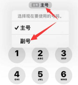 佛子山镇苹果14维修店分享iPhone 14 Pro Max使用副卡打电话的方法 