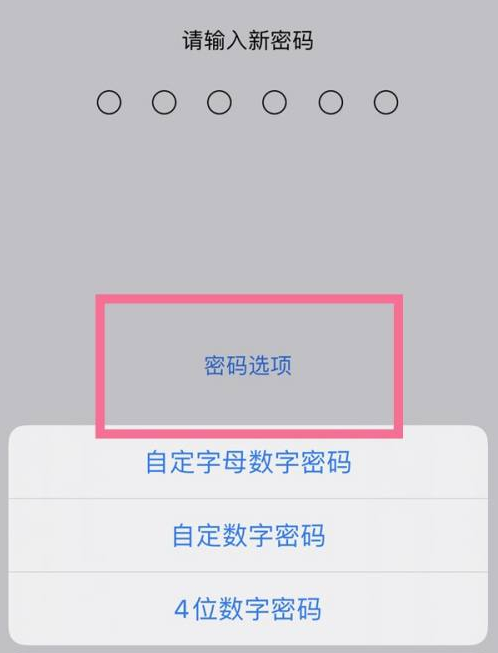 佛子山镇苹果14维修分享iPhone 14plus设置密码的方法 