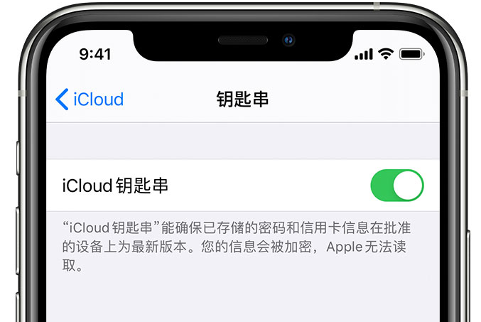 佛子山镇苹果手机维修分享在 iPhone 上开启 iCloud 钥匙串之后会储存哪些信息 