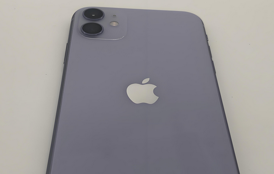 佛子山镇苹果11系统维修分享iPhone11手机系统崩溃无法开机如何解决 